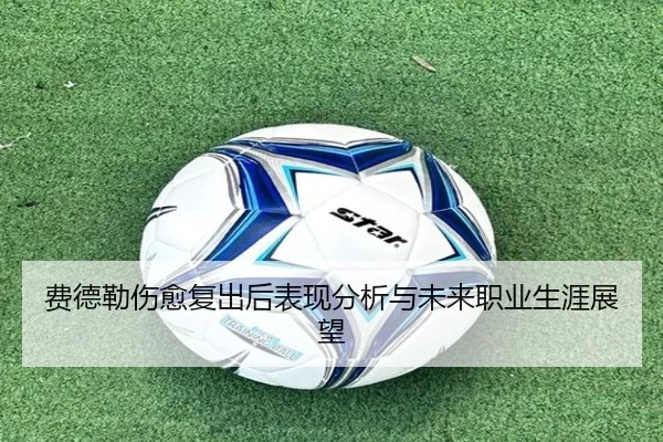 费德勒伤愈复出后表现分析与未来职业生涯展望